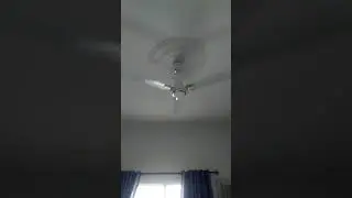 56