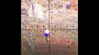 CZ Varmint Precision Trainer MTR  22LR @ 312 Yards