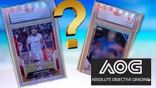 Mail Day Grading Return - AOG Grading Part 2