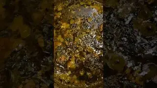 Krain Krain soup edition AKA Jute leaves #recipe #youtubeshorts