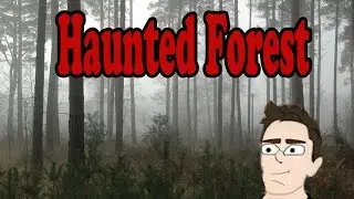 Almost Killed In Haunted Forest