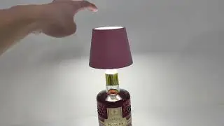 Wireless Bottle Table Lamp Touch Control of 3 Colors and Steples