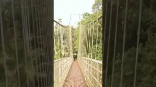 ഇതാണ് തേലപ്പുഴകടവ് തൂക്കുപാലം #suspension #thelappuzha #hangingbridge #suspensionbridge #mallappally