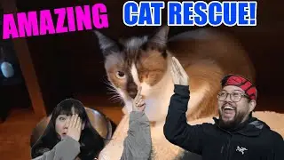 Amazing cat rescue by Rachel and Jun. Kindness gives new life to a stray cat with a missing eye