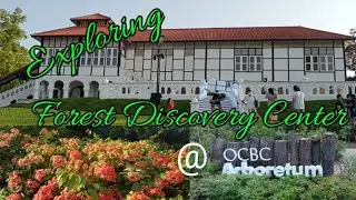 Exploring Forest Discovery Center @ OCBC Arboretum Singapore