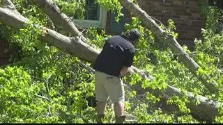 Storm kills husband and wife in Neeses, SC