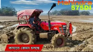 Mahindra Yuvo Tech Plus 575DI || Working in the deep mud🌾||#mahindratractor #viralvideos @WB TRACTOR