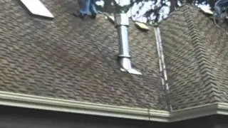 Roof Moss or Algae - Determining the Difference