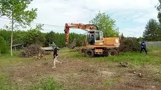 Removing a Tree Stumps and Roots