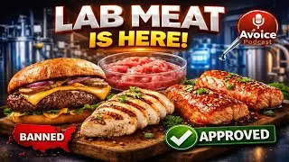 LAB MEAT IS HERE 🚨 States Are BANNING It While Scientists Grow Real Chicken in Labs