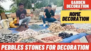 Indoor & outdoor Pebbles stone | Pebbles stone for decoration | Pebbles for  Home and Garden