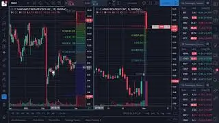 Live Demo Trading $ADMA $RIOT $SGMO $CTRM TradingView 04 02 2019 Part 1
