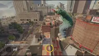 skate._playing gy myself