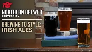 Brewing to Style: Irish Ales | Online Course Preview