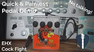 Electro-Harmonix Cock Fight - Quick and Painless Pedal Demos