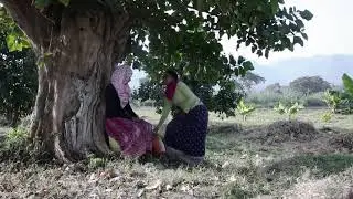 Zemen drama actress sofi and ayda memories  (lomi be fyel)