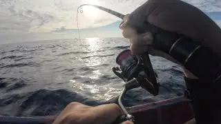 Panen menggunakan joran dan reel terbaru dari Iroly Fishing‼️