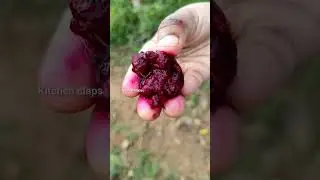 💜கிராமத்து வாழ்க்கை/😃 ஊருக்கு போனேன்/#kitchenclaps #village #life #enjoy #shorts #short #reels