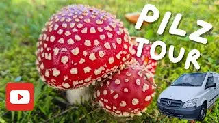 Pilz Tour