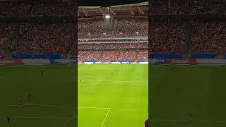 Benfica fans singing at the Est&aacute;dio da Luz