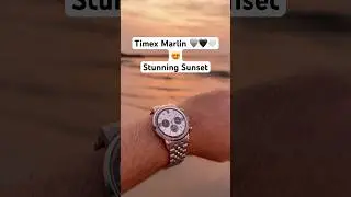 Timex Marlin Panda Dial in Stunning Sunset | Aesthetic Watch Shorts