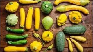 🌿🍵 A bowl of  Squash goodness awaits!