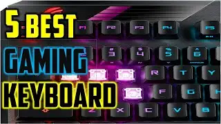 ✅Top 5 Best Gaming Keyboard Reviews in 2024 | Best Mechanical Keyboard buying Guide