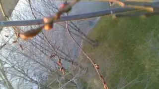 RC helicopter on-board video crashing into a tree