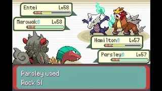 run & bun attempt 26: riskless flan sweep ft. parsley the archeops