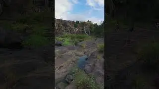 Is this Jurassic Land ?