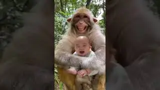 Viral monkey 🐒#trending #viral #airforceresultupdate #subscribe #mouselooping #dhorts #shorts