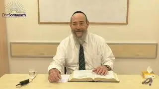 Hawk-Eye - Metzora (Rabbi Dovid Kaplan) (Weekly Parsha)