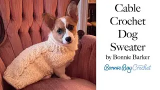 Cable Crochet Dog Sweater