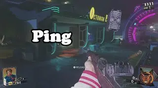 Every M1 Garand 