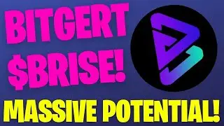 Why BITGERT $BRISE HAS MASSIVE POTENTIAL! DON'T MISS OUT ON THIS OPPORTUNITY! 