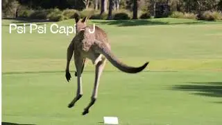 jumping