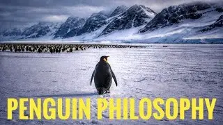 the penguin 🐧 philosophy 