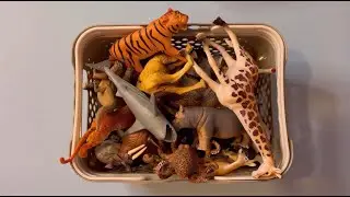 NEW Learn 40 Animal Names | Noises | Wild Animals | Sea Creatures | Animal Names |