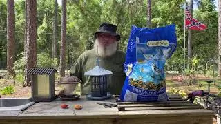 Backyard bird feeder/ feed station setup tips and suggestions
