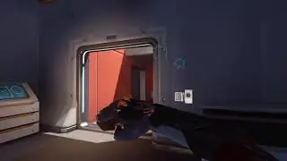 FuzzyHavok's Highlight.