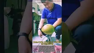 Coconut Water Extractor || Creative Ideas