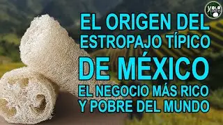 El origen del estropajo t&iacute;pico de M&eacute;xico &ndash; El negocio m&aacute;s rico y pobre del mundo