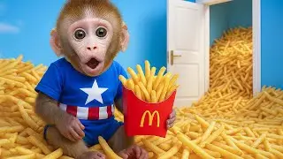 Der Affe BON BO landet in einem BERG aus Pommes! 🍟😱 | BON BO MONKEY