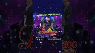 contactanos
