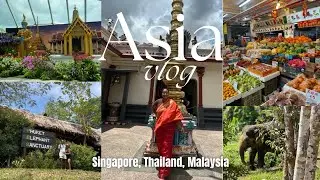 Asia Travel Vlog: The Best Things We Did! 