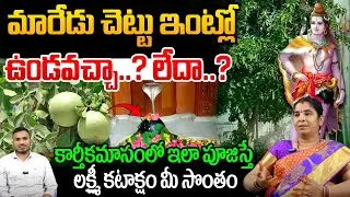 Can We Plant Bael Tree In The House : మారేడు చెట్టు ఇంట్లో ఉండవచ్చా? లేదా? | Konduri Ramadevi