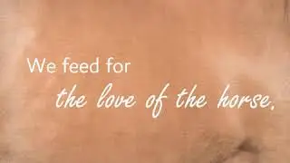 We feed for the LOVE of the horse
