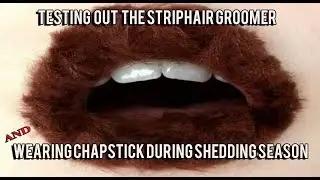 Striphair Gentle Groomer Review - Does It Really Work?