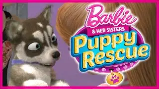 💫 Barbie and Her Sisters Puppy Rescue Care and Training Puppies Gameplay Part #3