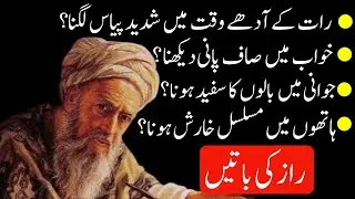 Hikmat ki batein| Raaz Ki batein|Danai ki batein|Urdu qoutes|Aqwal e Zareen|Luqman Hakeem